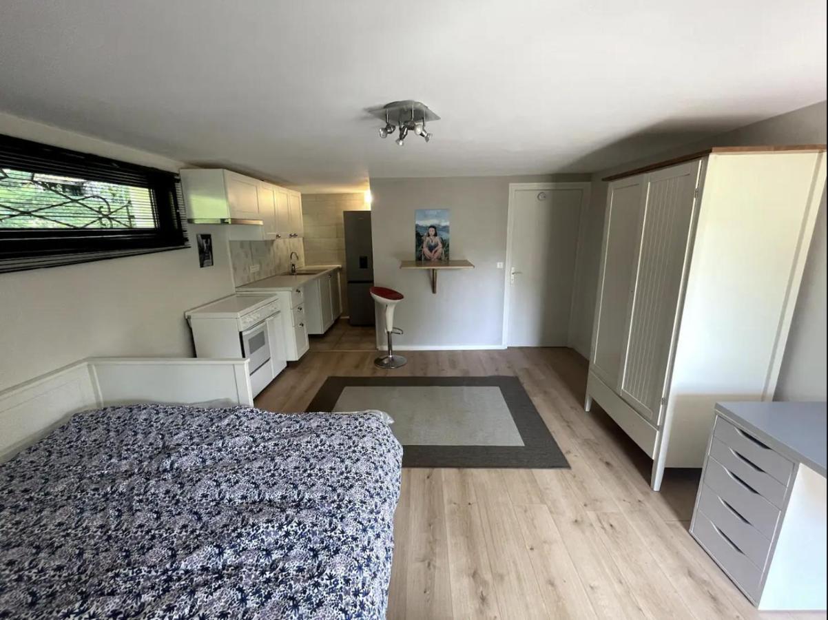 Quiet Studio In A House In Sevrier Annecy Lake Very Close To The Lake Esterno foto